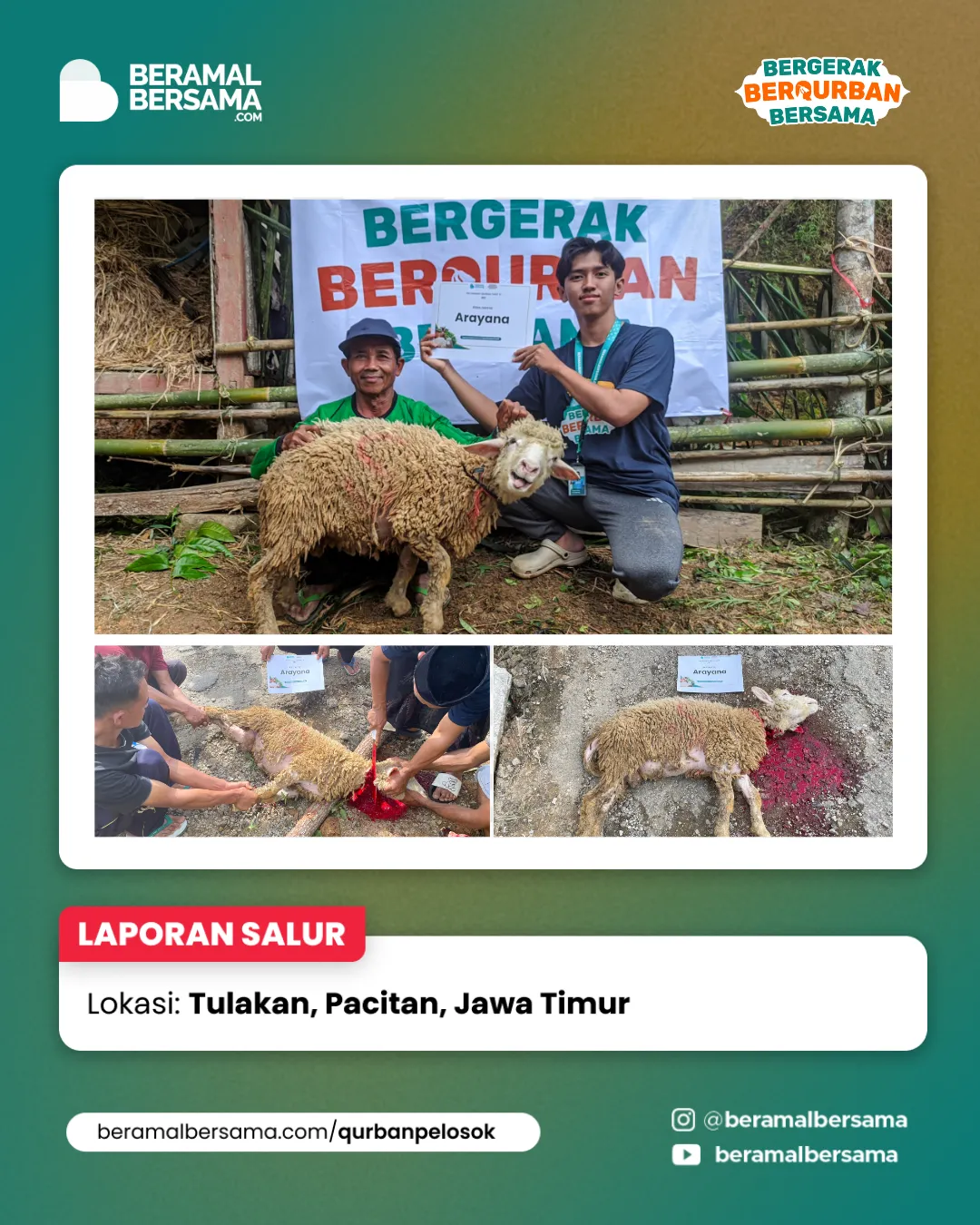 Penyaluran Berbagi Kebahagiaan Qurban Pacitan Jawa Timur 11