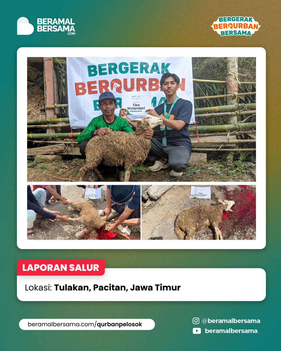 Penyaluran Berbagi Kebahagiaan Qurban Pacitan Jawa Timur 12