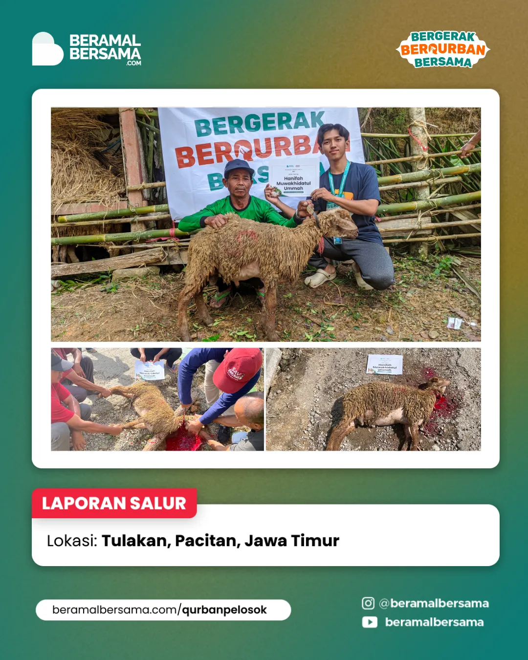 Penyaluran Berbagi Kebahagiaan Qurban Pacitan Jawa Timur 14