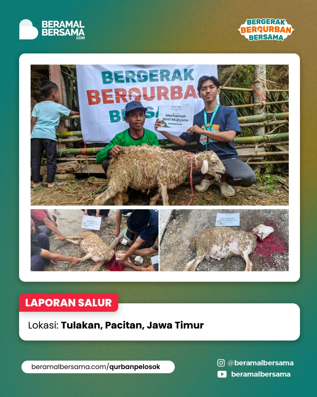 Penyaluran Berbagi Kebahagiaan Qurban Pacitan Jawa Timur 18