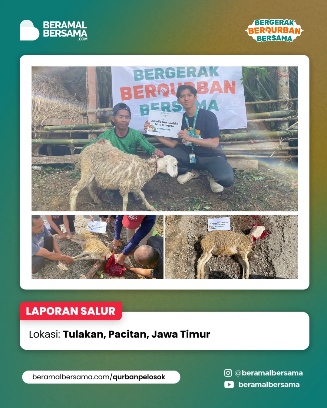 Penyaluran Berbagi Kebahagiaan Qurban Pacitan Jawa Timur 19