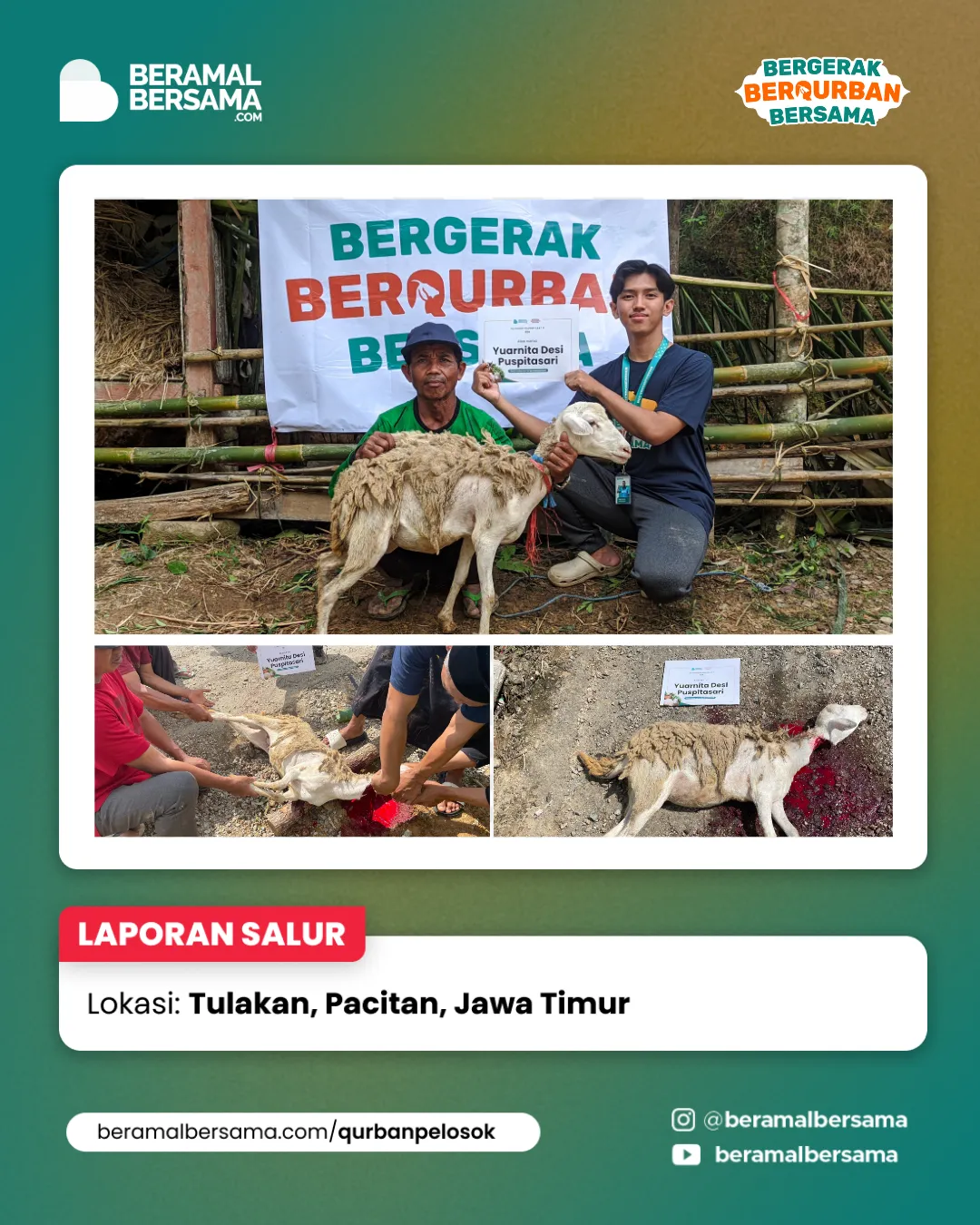 Penyaluran Berbagi Kebahagiaan Qurban Pacitan Jawa Timur 20