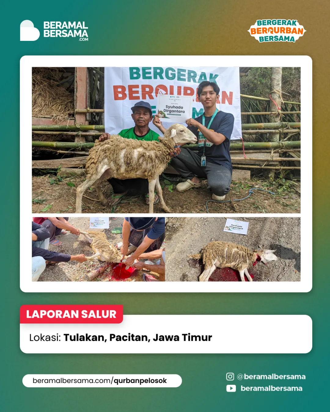 Penyaluran Berbagi Kebahagiaan Qurban Pacitan Jawa Timur 22
