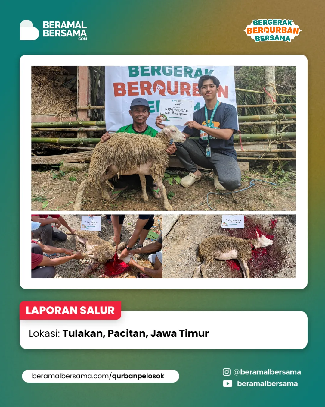 Penyaluran Berbagi Kebahagiaan Qurban Pacitan Jawa Timur 23
