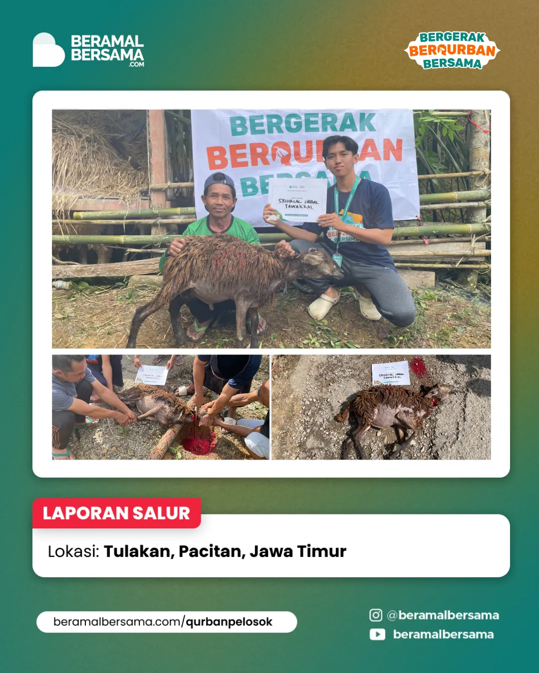 Penyaluran Berbagi Kebahagiaan Qurban Pacitan Jawa Timur 24