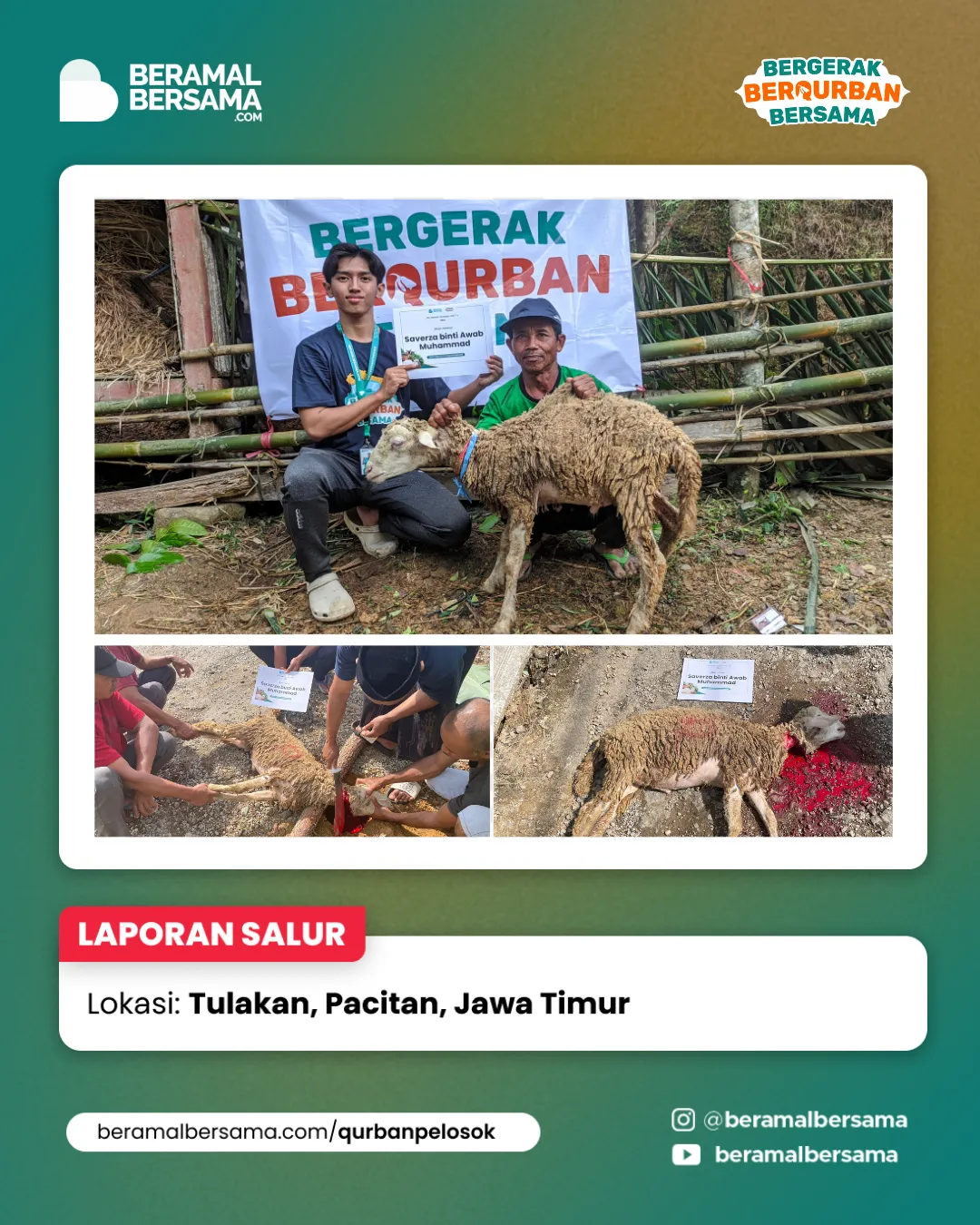 Penyaluran Berbagi Kebahagiaan Qurban Pacitan Jawa Timur 3
