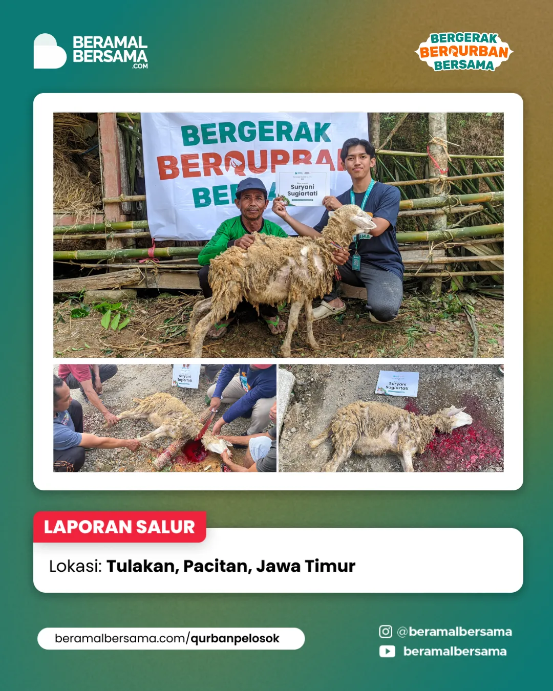 Penyaluran Berbagi Kebahagiaan Qurban Pacitan Jawa Timur 4