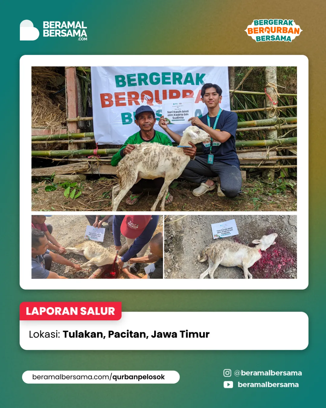 Penyaluran Berbagi Kebahagiaan Qurban Pacitan Jawa Timur 6