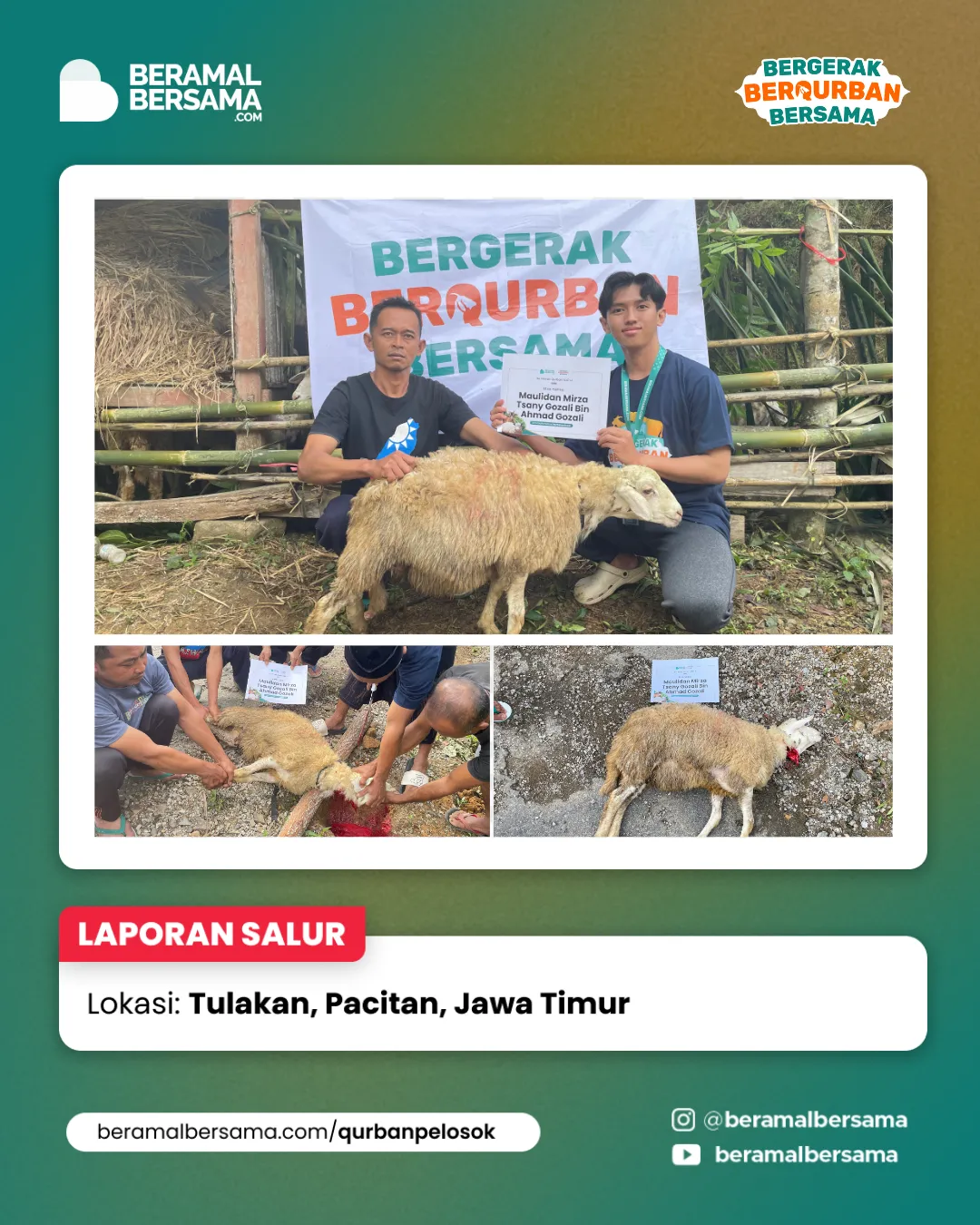 Penyaluran Berbagi Kebahagiaan Qurban Pacitan Jawa Timur 7