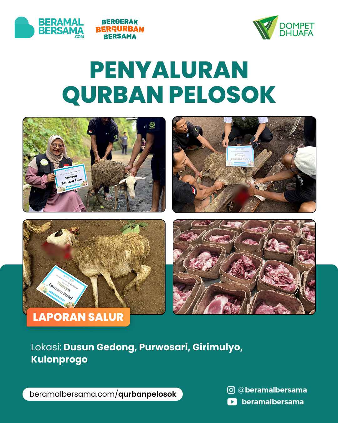 Penyaluran Tebarkan Kebahagiaan Qurban, Girimulyo, Kulonprogo 2